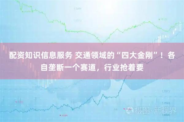配资知识信息服务 交通领域的“四大金刚”！各自垄断一个赛道，行业抢着要