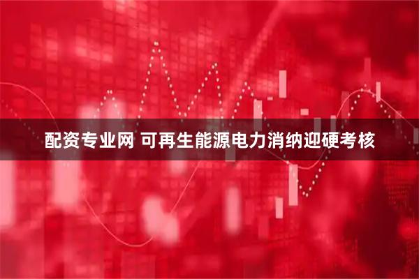 配资专业网 可再生能源电力消纳迎硬考核